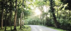 Mount Rosie Road (D11), Detached #529560891